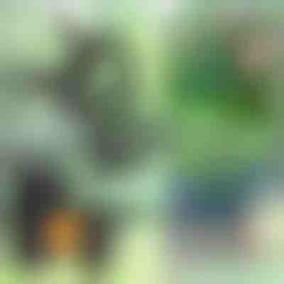 Pinze per piante (14 pezzi) | PLANTPIN