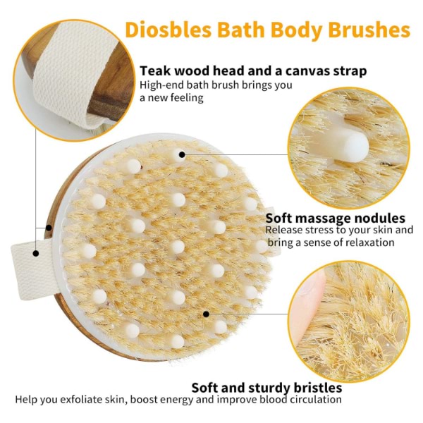 CELLUBROOM21200__bb92c1a4