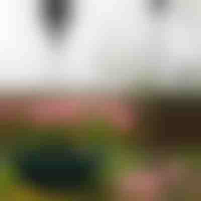 Appendiabiti retrattile per piante | PLANTPULL