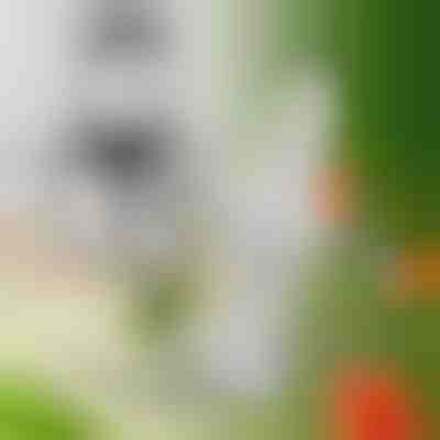 Lame extra per MULTIMINCER | MULTIBLADE