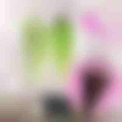 Cesto sospeso per fiori artificiali | BASKETHANG